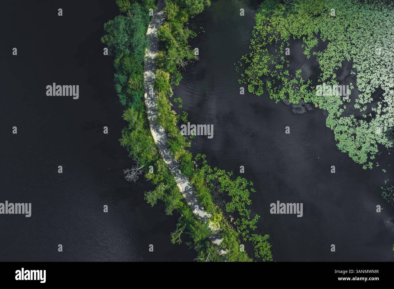 Vue aérienne du sentier serein serein serein à travers la verdure et l'eau calme, Strawberry Hill, Cambridge, Massachusetts, États-Unis. Banque D'Images