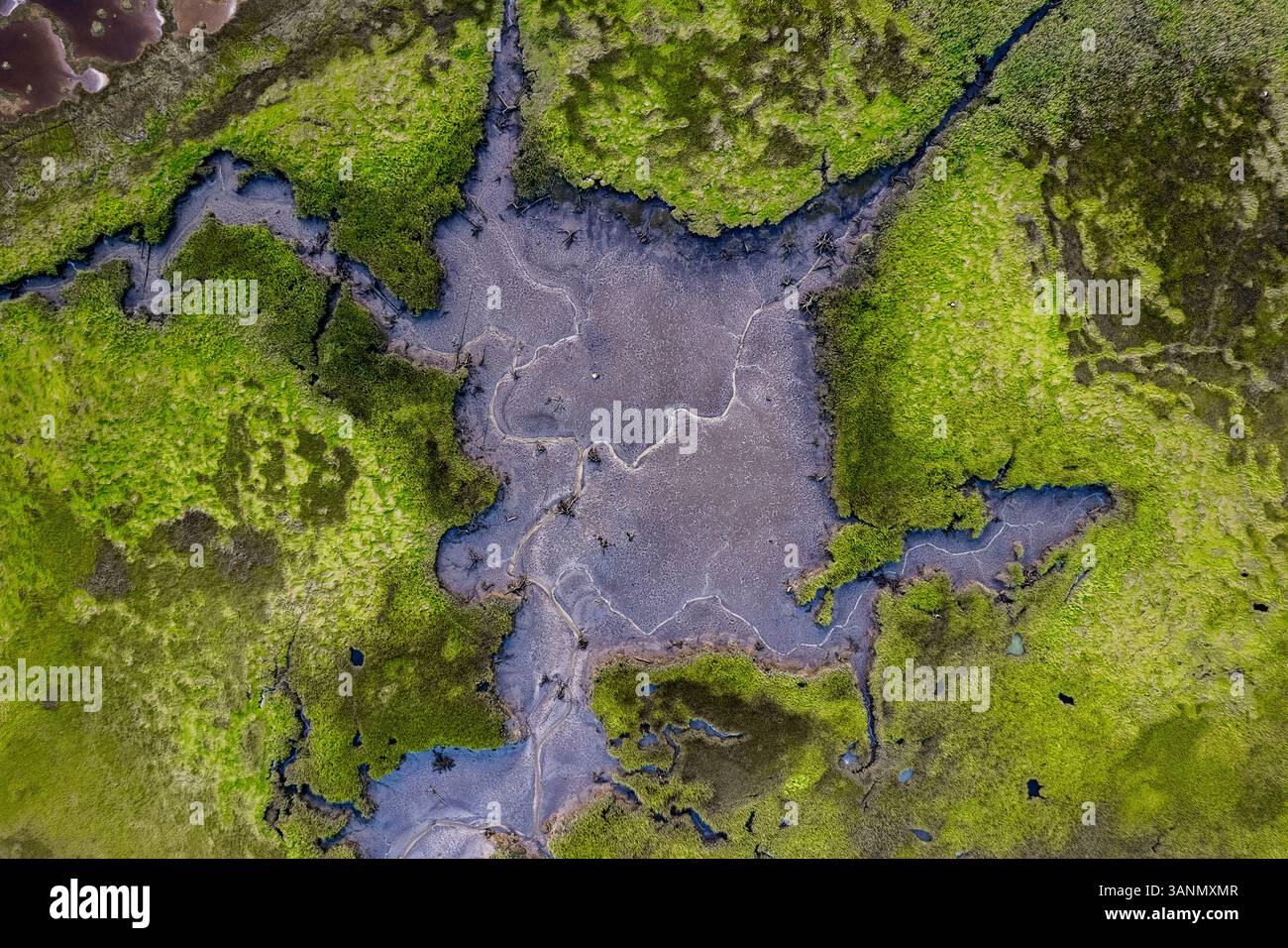Vue aérienne des marais et marais luxuriants avec de l'eau sereine, Wells, Maine, États-Unis. Banque D'Images