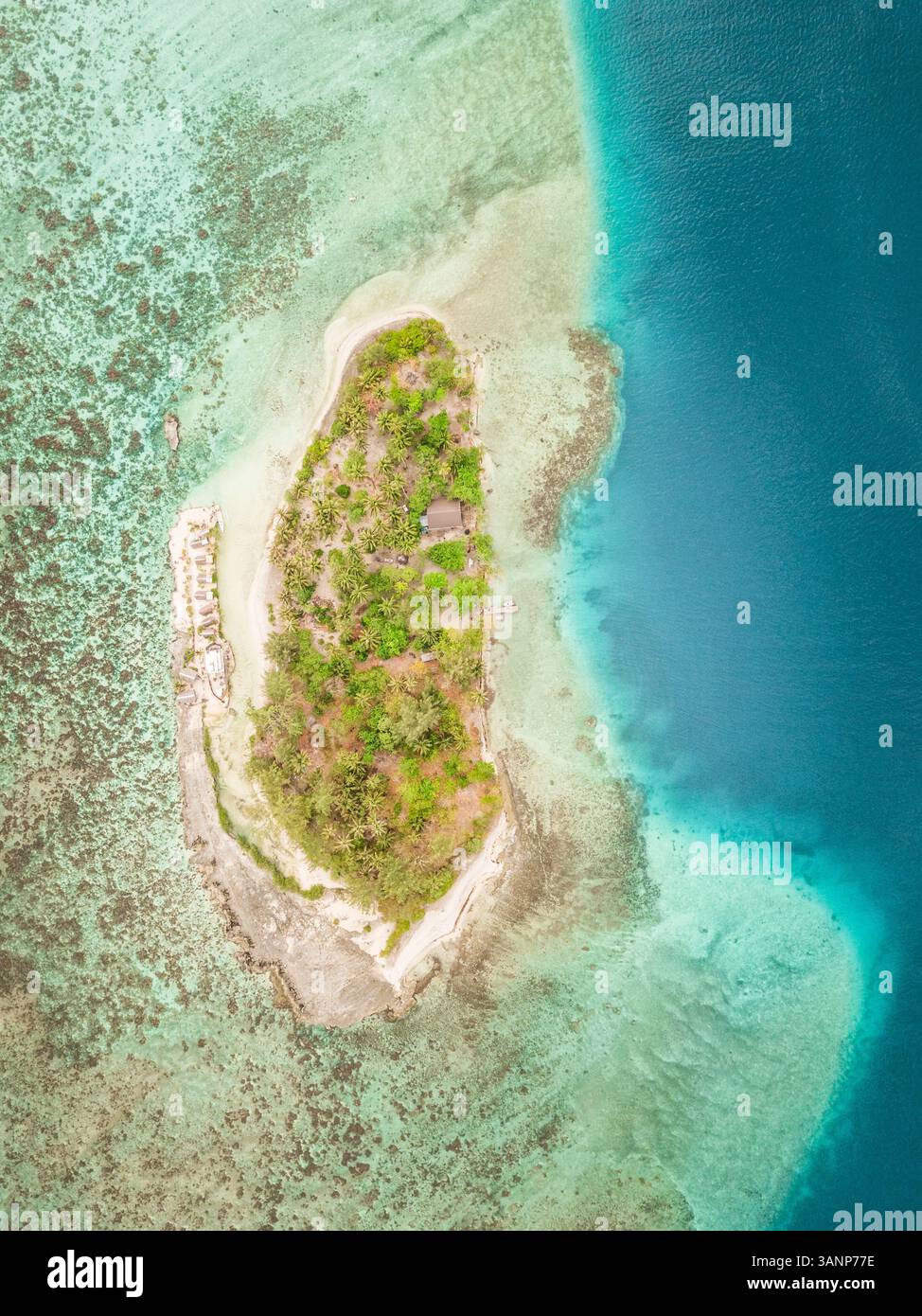 Vue aérienne de la petite île de Motu Aki en Polynésie française. Banque D'Images