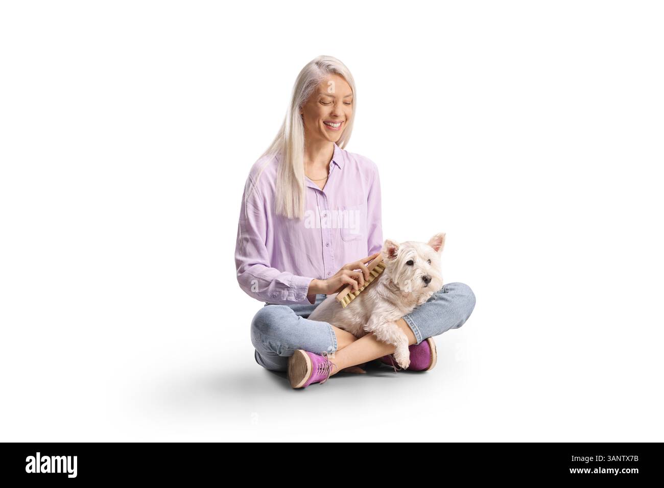 Femme assise et brossant un chien westie terrier isolé sur fond blanc Banque D'Images