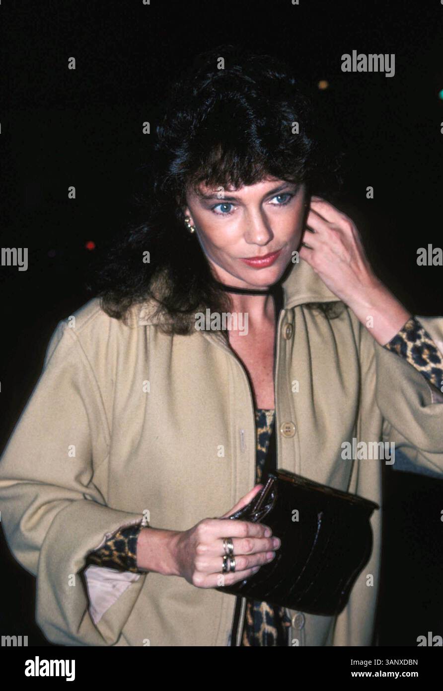 JULY 5, 2005 - 11-1979.( JACQUELINE ) JACKIE BISSET. BILL HOLZ- 1979(crédit image : © Globe photos/ZUMAPRESS.com) Banque D'Images