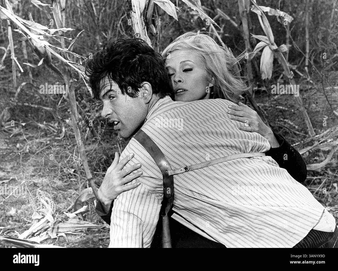 Le petit escroc Clyde Barrow (WARREN BEATTY) tente de voler une voiture et se retrouve avec la fille de son propriétaire, Bonnie Parker (FAYE DUNAWAY), fille mécontente de la petite ville. Leurs crimes vont rapidement d'un vol mineur à un vol de banque, mais les tensions entre le couple et les autres membres de leur gang - le conducteur malheureux C.W. (Michael J. Pollard), le suave frère aîné de Clyde, Buck (Gene Hackman) et la femme de Buck, Blanche (Estelle Parsons) - pourraient tous les détruire. Réalisateur : Arthur Penn. (crédit image : © Globe photos/ZUMA Wire) Banque D'Images