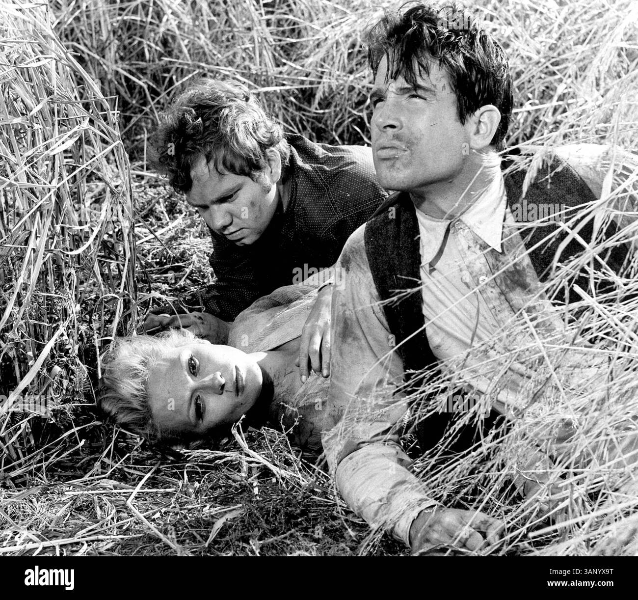 Le petit escroc Clyde Barrow (WARREN BEATTY) tente de voler une voiture et se retrouve avec la fille de son propriétaire, Bonnie Parker (FAYE DUNAWAY), fille mécontente de la petite ville. Leurs crimes vont rapidement d'un vol mineur à un vol de banque, mais les tensions entre le couple et les autres membres de leur gang - le conducteur malheureux C.W. (MICHAEL J. POLLARD), le suave frère aîné de Clyde, Buck (Gene Hackman) et la femme de Buck, Blanche (Estelle Parsons) - pourraient tous les détruire. Réalisateur : Arthur Penn. (crédit image : © Globe photos/ZUMA Wire) Banque D'Images