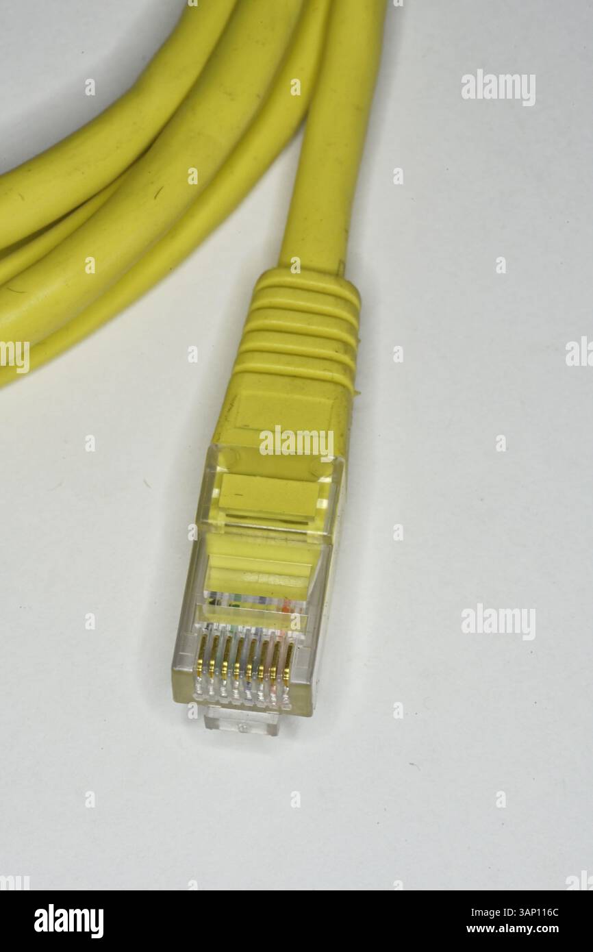 Fiche RJ45 avec couvercle moulé comme utilisée dans les connexions Ethernet câblées, certaines connexions téléphoniques et d'autres ordinateurs Banque D'Images