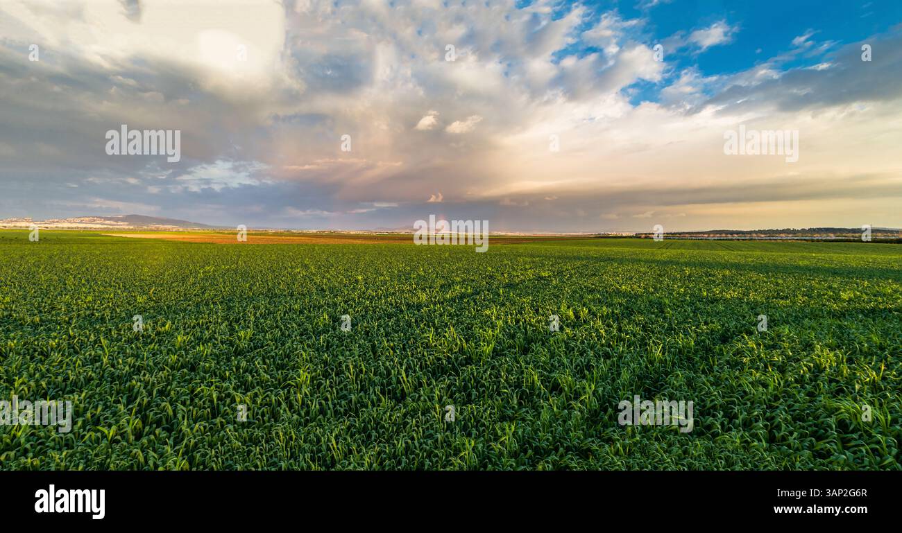 Vue aérienne d'un arc-en-ciel dans un champ avec des nuages de pluie, vallée de Jezreel, district nord, Israël. Banque D'Images