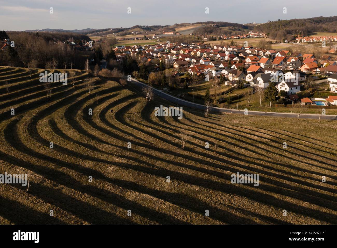 Vue aérienne de la campagne vallonnée pittoresque avec des champs, des maisons et des arbres, Ptuj, Slovénie. Banque D'Images