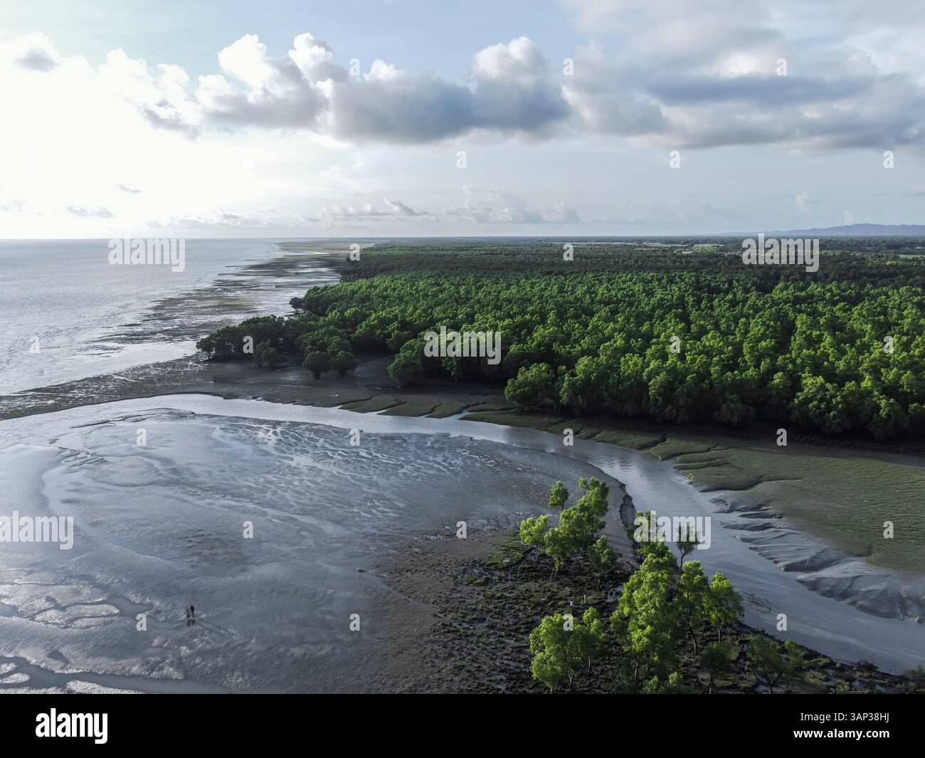 Vue aérienne de la plage sereine et intacte de Guliyakhali avec mangrove luxuriante et verdure, Chittagong, Bangladesh. Banque D'Images