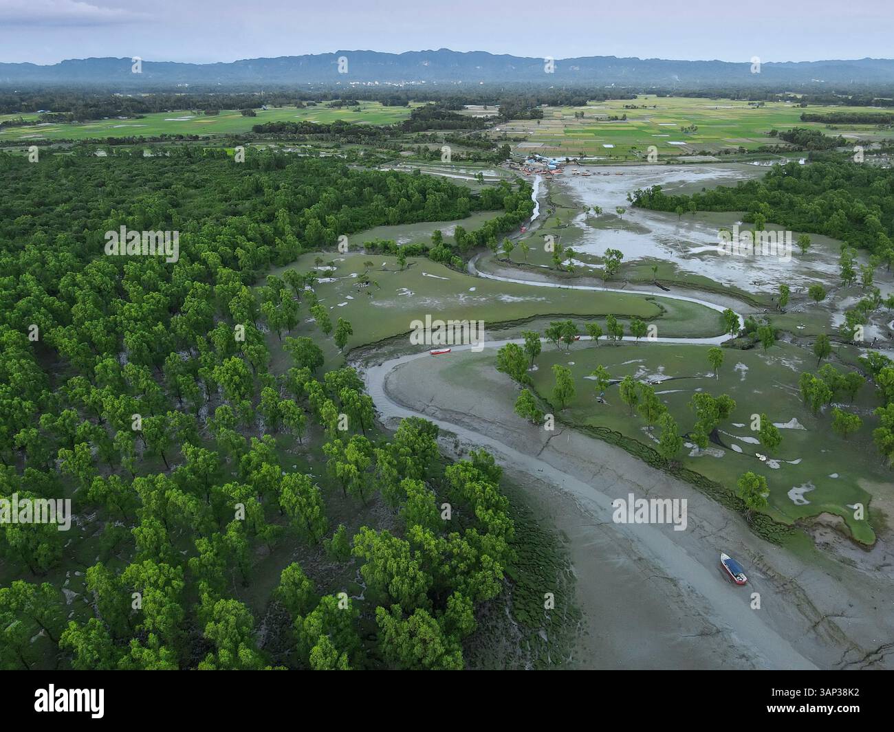 Vue aérienne de la forêt sereine de mangrove et de la verdure luxuriante le long de la rivière, Guliyakhali, Chittagong, Bangladesh. Banque D'Images