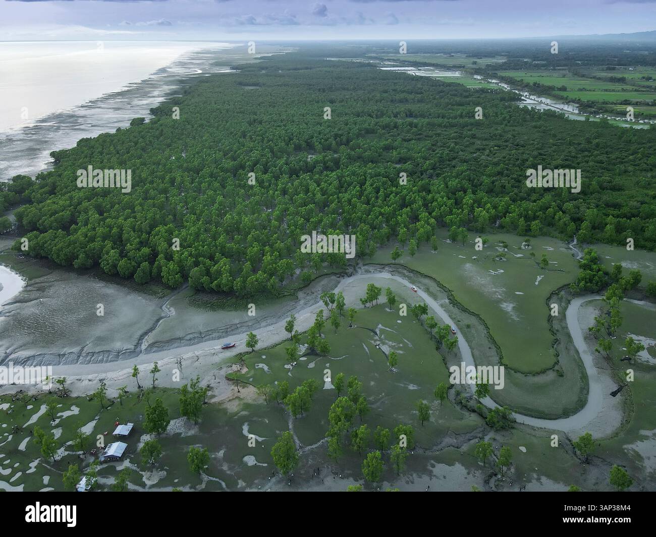 Vue aérienne de la forêt de mangrove sereine et intacte le long d'une rivière sinueuse et plage de mer, Guliyakhali, Chittagong, Bangladesh. Banque D'Images
