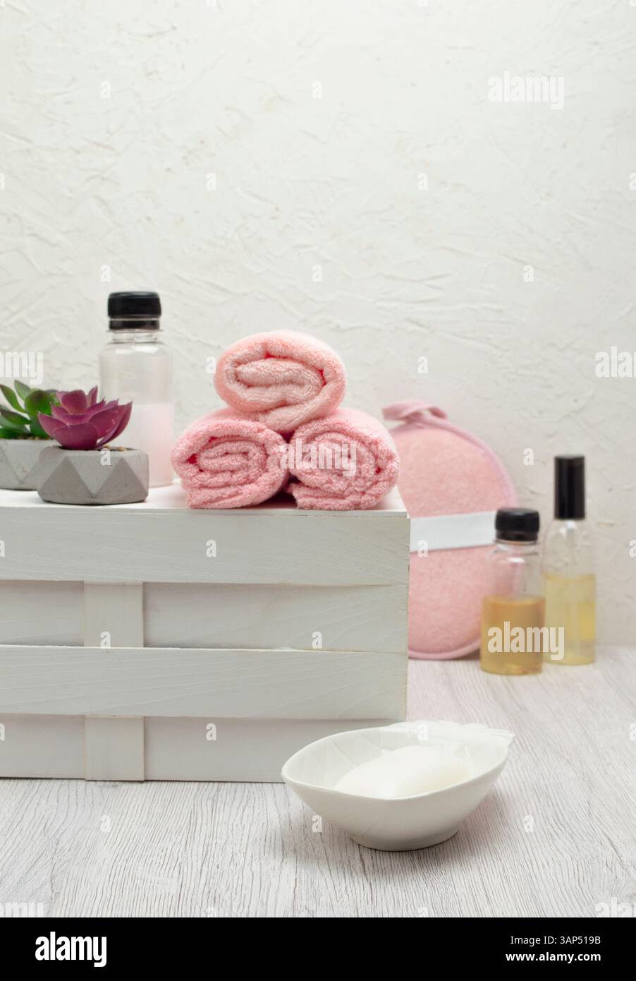 Serviette, shampooing, revitalisant et savon soigneusement disposés sur un fond clair, offrant amplement d'espace pour le texte de marque. Banque D'Images