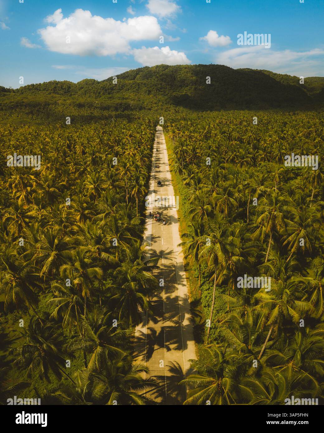 Vue aérienne d'une route traversant une forêt de palmiers dans l'île de Siargao, Philippines. Banque D'Images