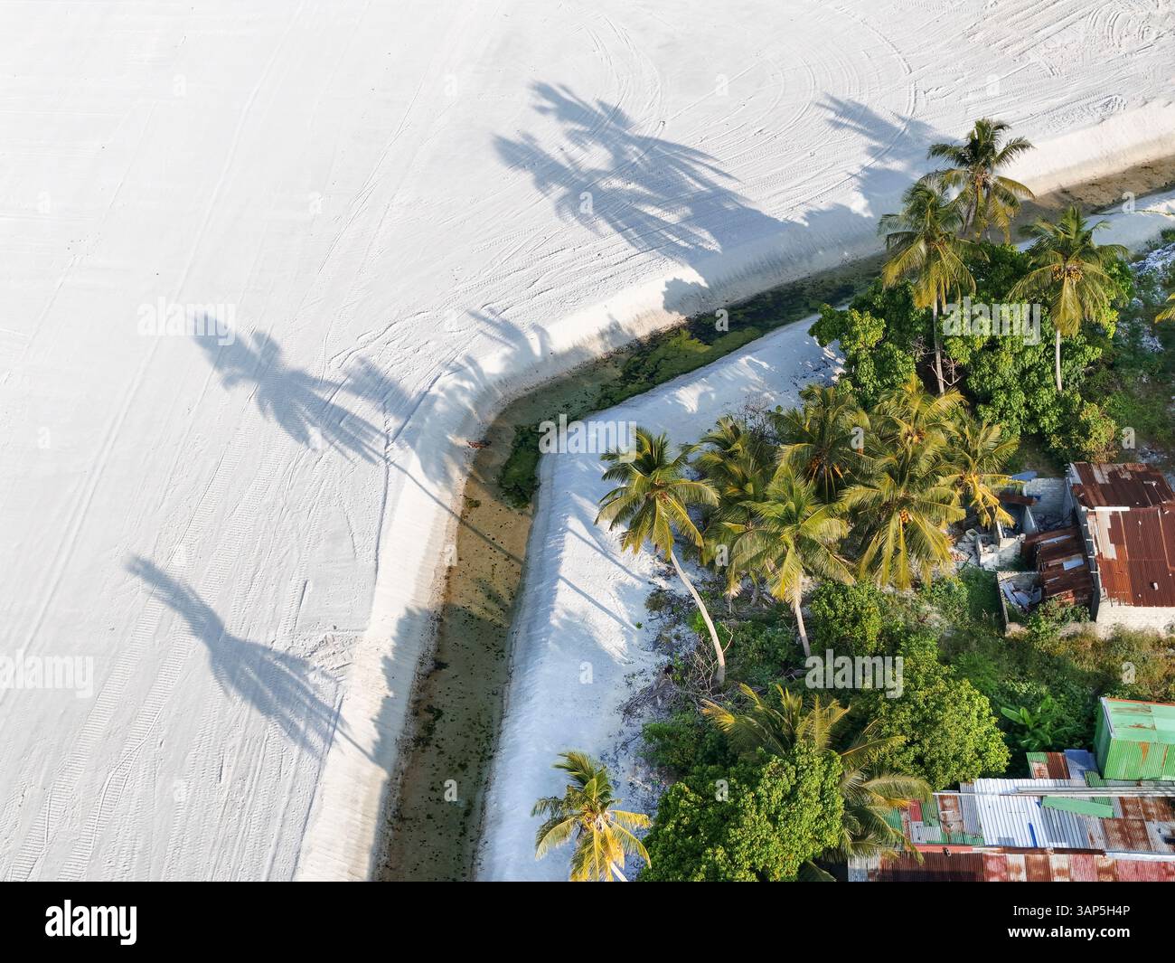 Vue aérienne de l'île tropicale avec des palmiers, du sable et des maisons, Maradhoo, Maldives. Banque D'Images