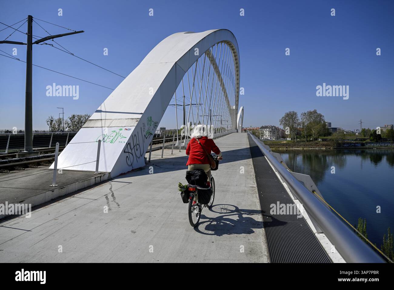 Cycliste sur le pont Beatus-Rhenanus, pont de tramway sur le Rhin, Kehl, Ortenaukreis, Bade-Wuertemberg, Allemagne, Europe Banque D'Images