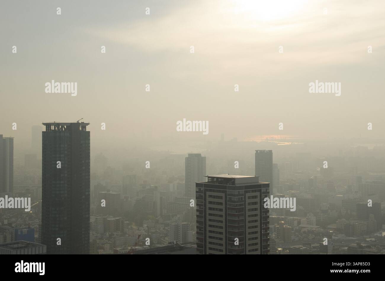 Skyline de la ville d'Osaka un jour brumeux, smog, Osaka, Japon, Asie Banque D'Images