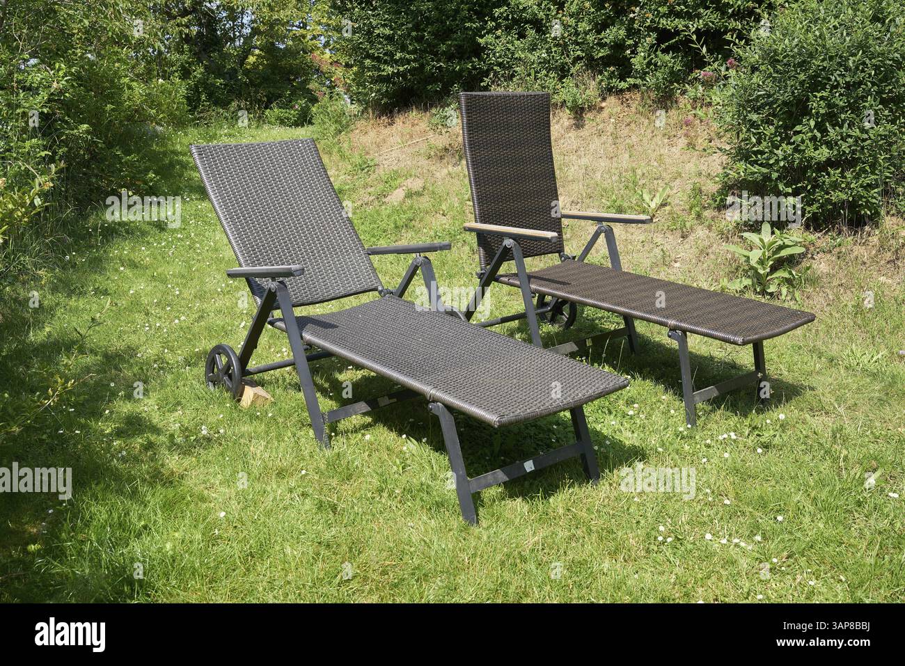 Deux chaises longues pour se détendre sur une pelouse dans le jardin Banque D'Images