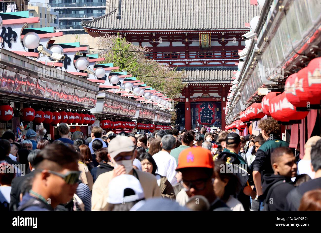Tokyo, Japon. 16 avril 2025. Des touristes étrangers visitent le quartier de divertissement Asakusa à Tokyo le mercredi 16 avril 2025. 3,5 millions d'étrangers se sont rendus au Japon en mars et plus de 10 millions d'étrangers se sont rendus au Japon jusqu'en mars de cette année, a annoncé l'Agence japonaise du tourisme le 16 avril. (Photo de Yoshio Tsunoda/AFLO) Banque D'Images