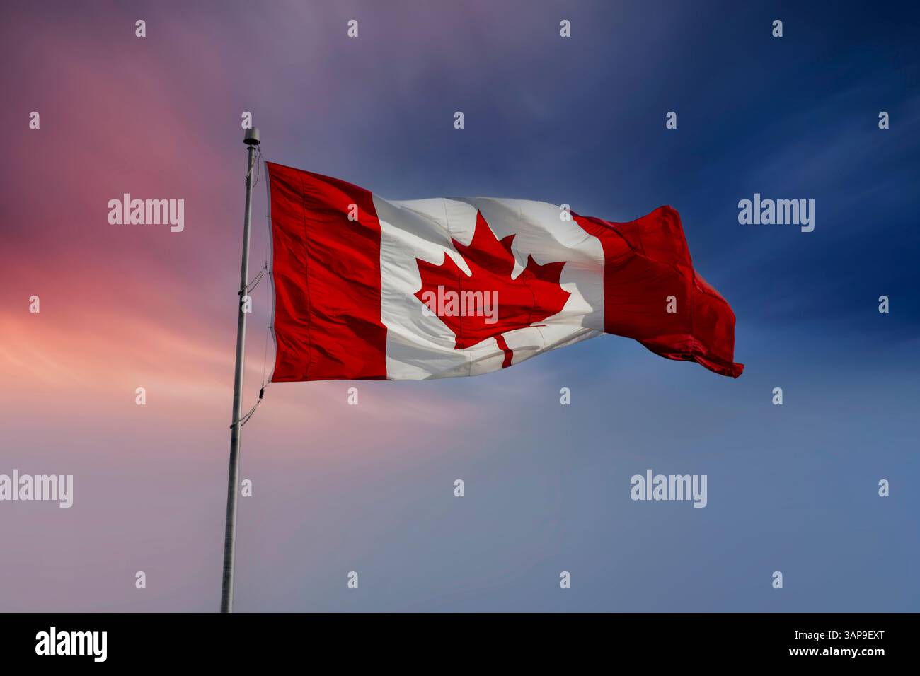 Drapeau canadien flottant dans le vent contre un ciel sombre Banque D'Images