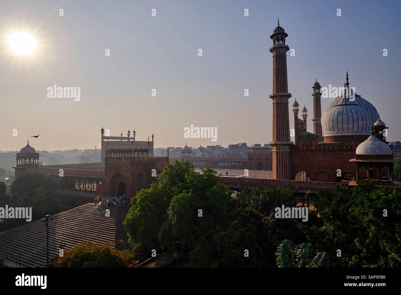 Inde, Delhi, Old Delhi, mosquée Jama Masjid, construite par l'empereur moghol Shah Jahan entre 1644 et 1656 Banque D'Images