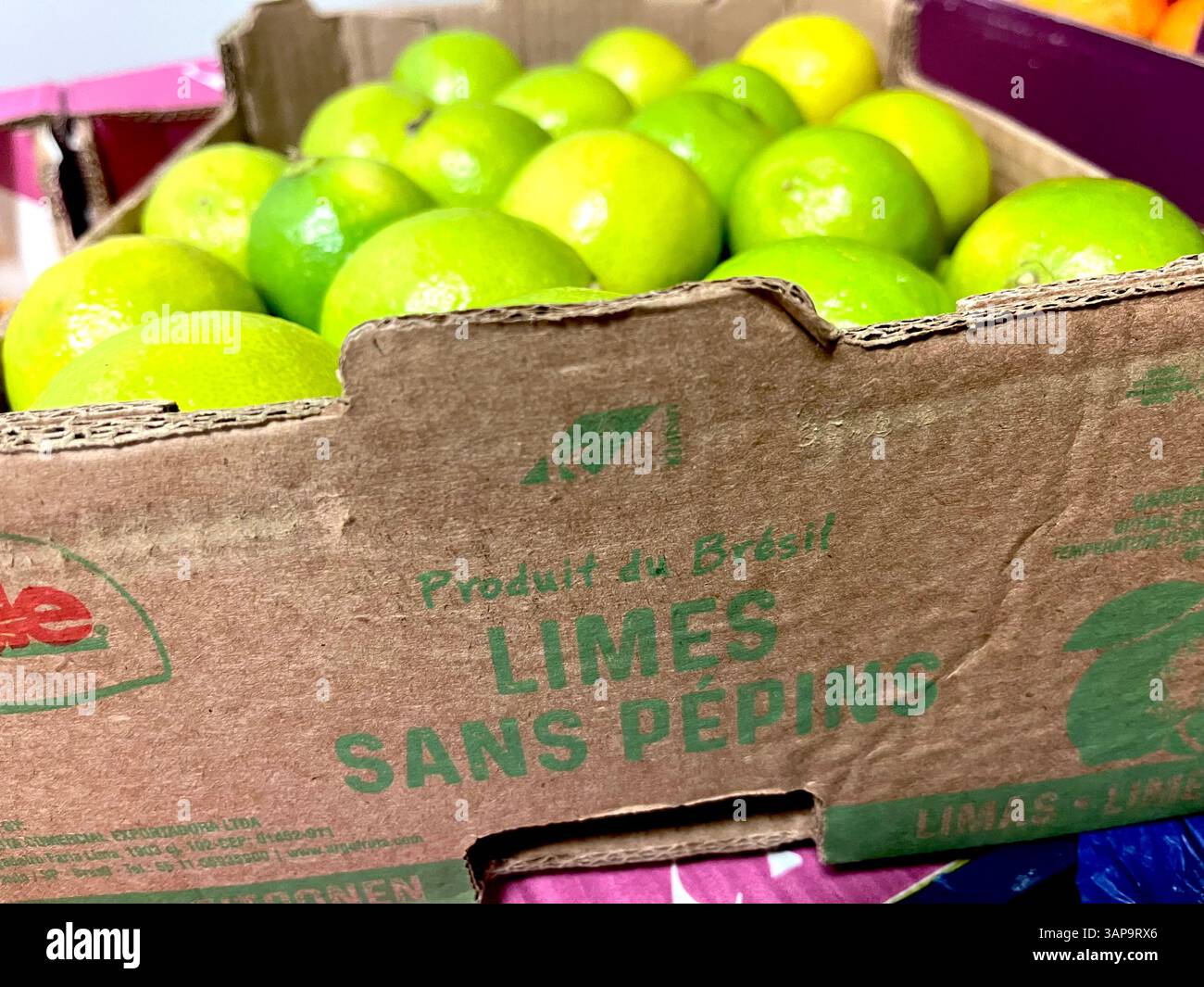 limes, caisse en carton, limes sans Pepins, produit du Brésil, agrumes du Brésil, exportateur brésilien de fruits, industrie agricole, distribution alimentaire Banque D'Images