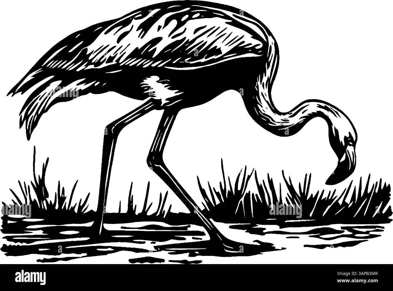 Une illustration détaillée gravée sur bois représentant un poissonnier vêtu d'une combinaison et d'une casquette, présentant fièrement une caisse en bois débordant de poisson frais Illustration de Vecteur