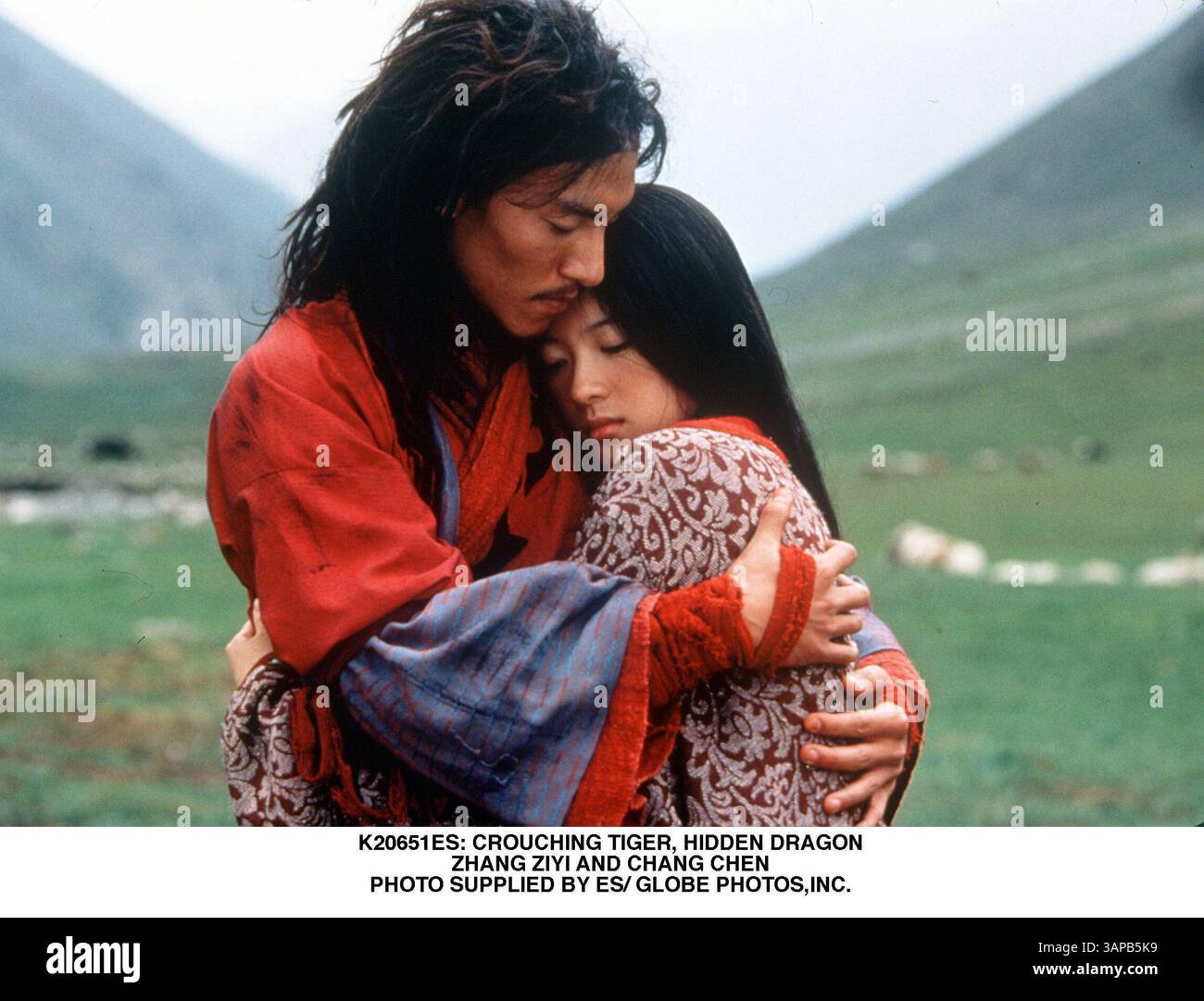 JANVIER 1, 2011 - K20651ES : TIGRE ACCROUPI, DRAGON CACHÉ. ZHANG ZIYI ET CHANG CHEN. FOURNI PAR ES/(image de crédit : © Globe photos/ZUMAPRESS.com) Banque D'Images