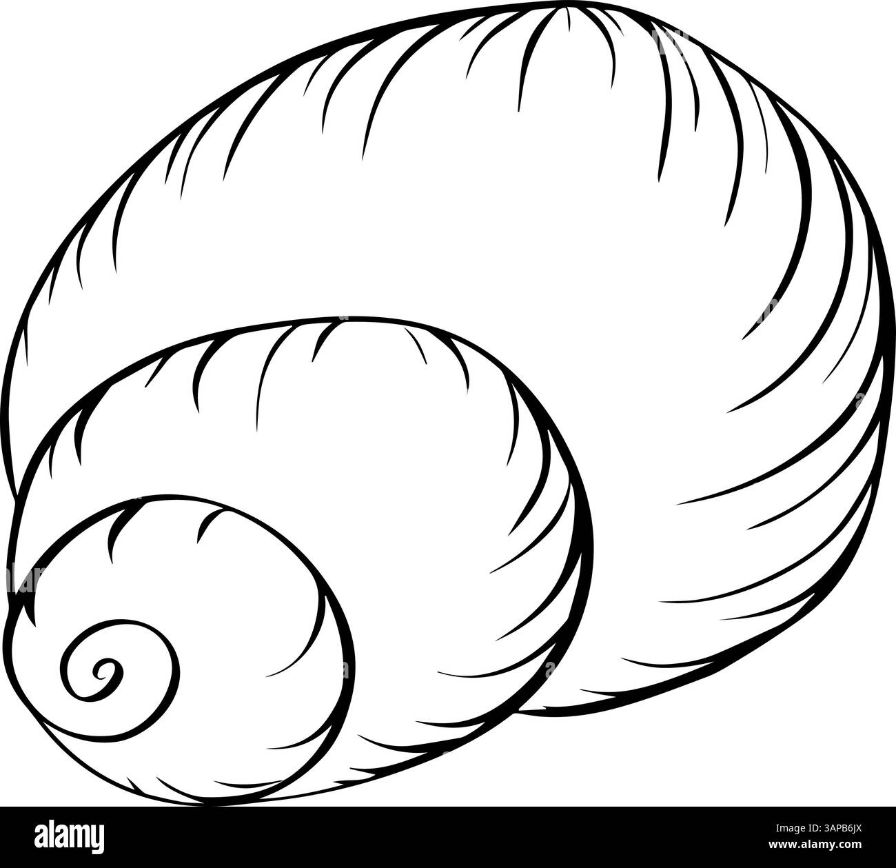 Vecteur d'icône d'encre de ligne graphique de plage de coquille de mer d'escargot. panneau de plage coquille d'escargot. symbole de contour isolé illustration noire pour paquet, conception de cuisine Illustration de Vecteur