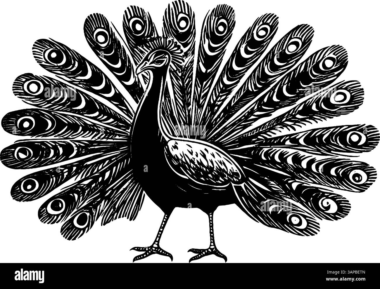 Un perroquet est engagé dans la lecture d'un livre, mettant en valeur sa nature curieuse. Le style vintage gravé sur bois met en valeur les détails de l'oiseau Illustration de Vecteur Un perroquet est engagé dans la lecture d'un livre, mettant en valeur sa nature curieuse. Le style vintage gravé sur bois met en valeur les détails de l'oiseau Illustration de Vecteur