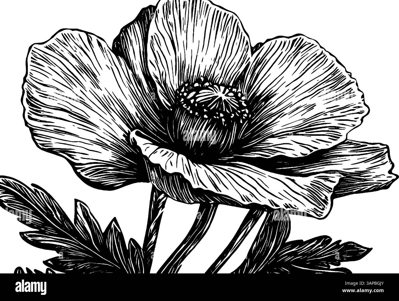 Une illustration détaillée de gravure sur bois met en valeur une assiette contenant deux oeufs ensoleillés parfaitement cuits Illustration de Vecteur