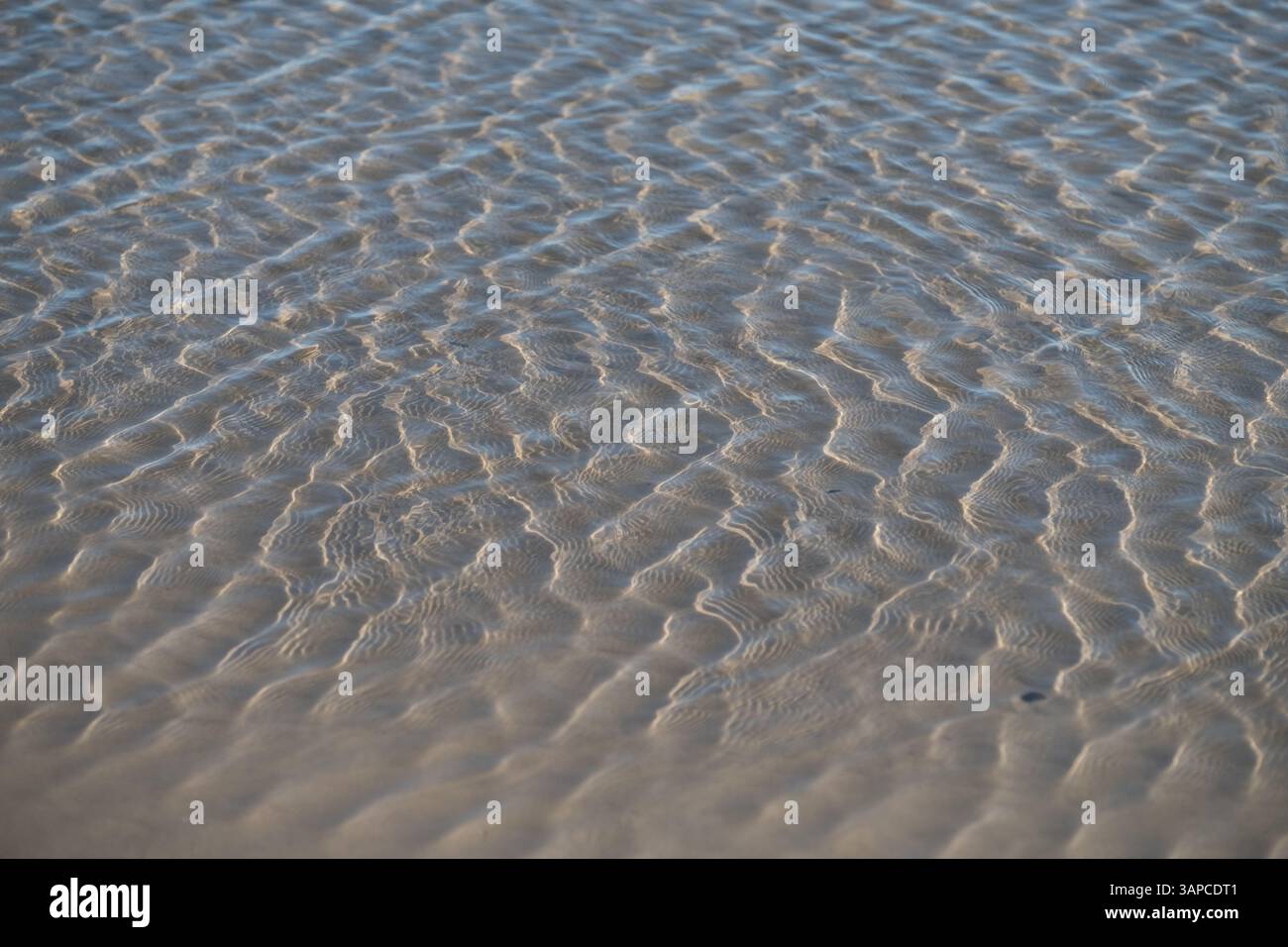 Gentle Waves Pattern sur Sandy Beach près de Piriapolis, Uruguay Banque D'Images