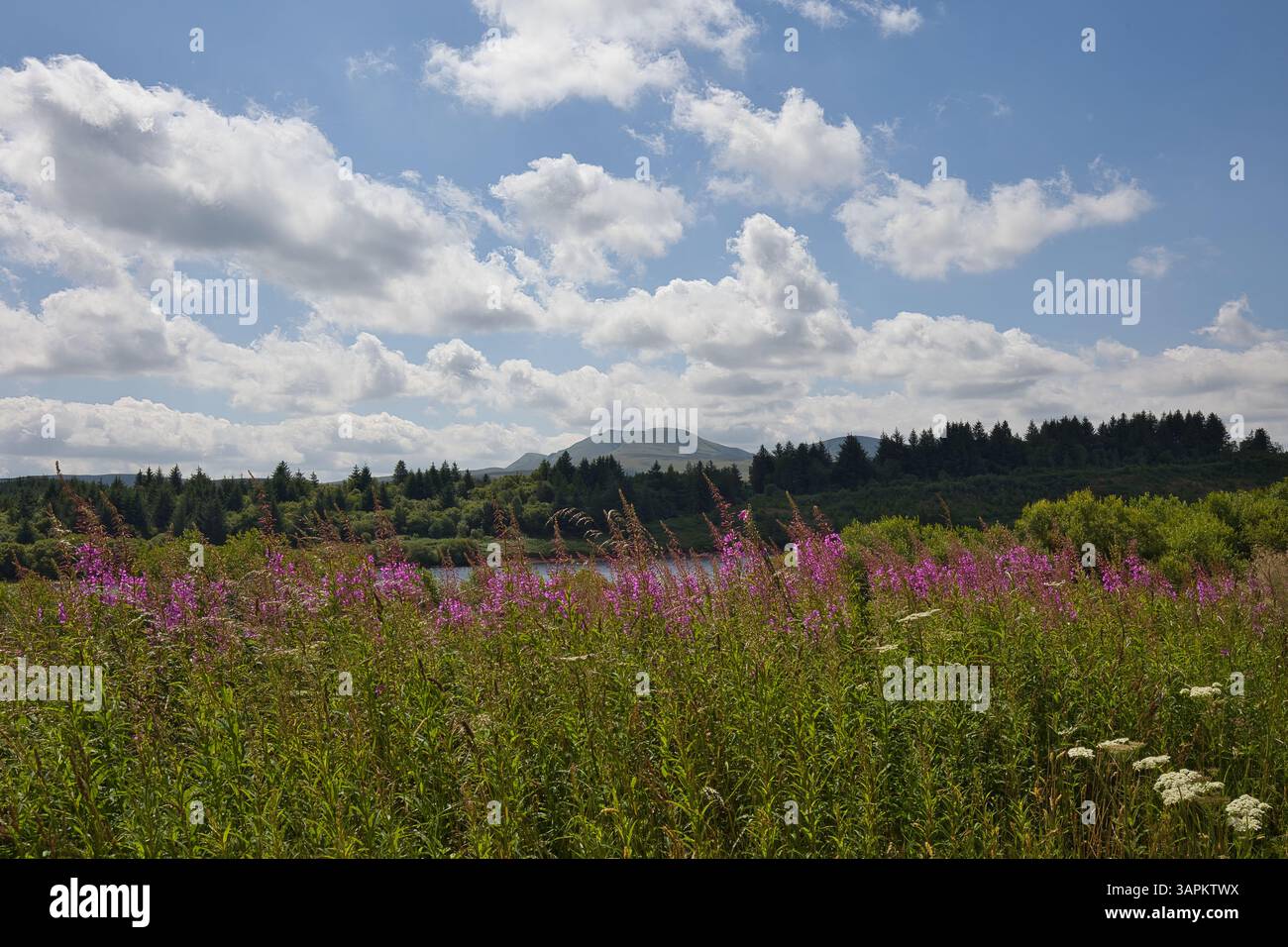 Beaux paysages dans le parc national de Brecon Beacons au pays de Galles. Banque D'Images