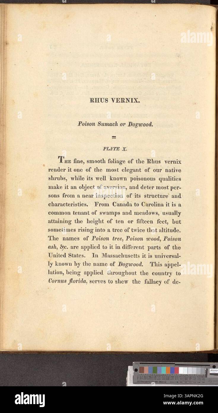 Un guide faisant autorité sur les plantes médicinales originaires des États-Unis, avec des descriptions détaillées de leur utilisation dans les traitements médicaux. Le texte comprend également des illustrations botaniques pour soutenir la compréhension du potentiel thérapeutique de chaque plante. Banque D'Images