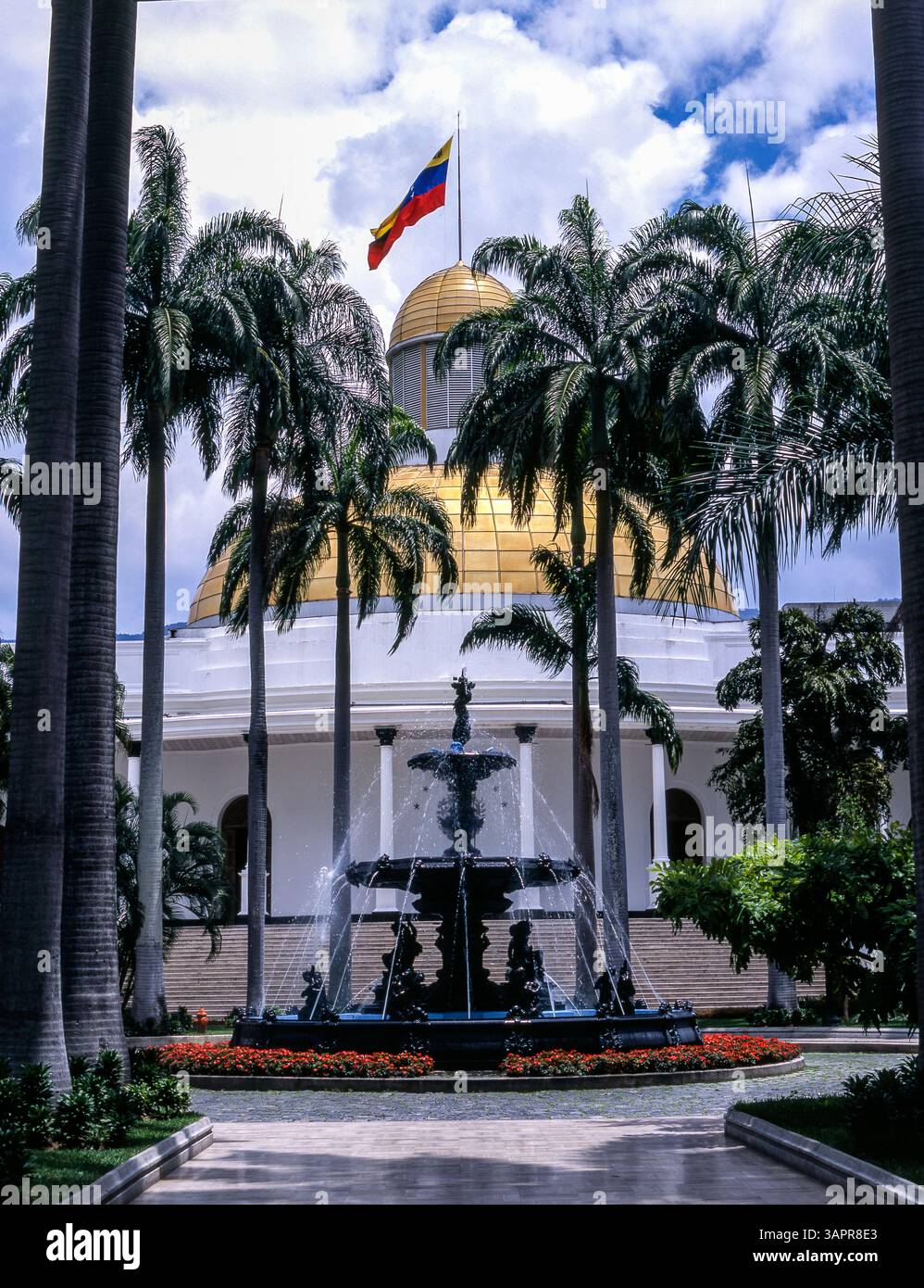 Venezuela. Caracas ville. Capitole national. Gouvernement bolivarien. Banque D'Images