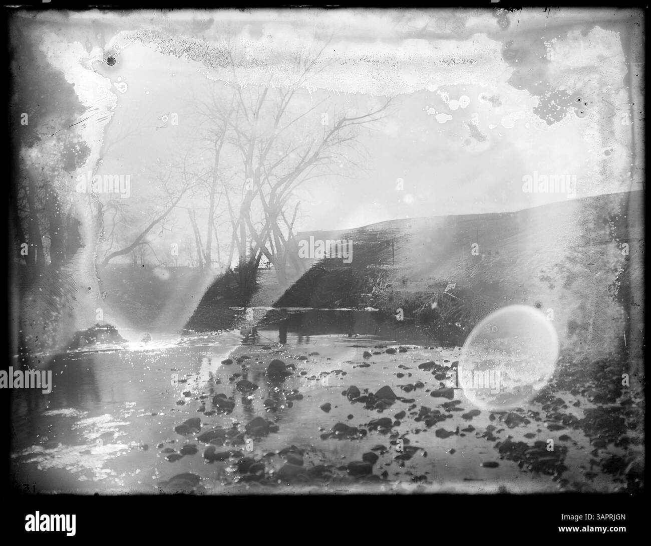 Photographie de Birch Creek, Oregon, capturée par Lee Moorhouse dans le cadre de la collection des bibliothèques de l'Université de l'Oregon. Banque D'Images