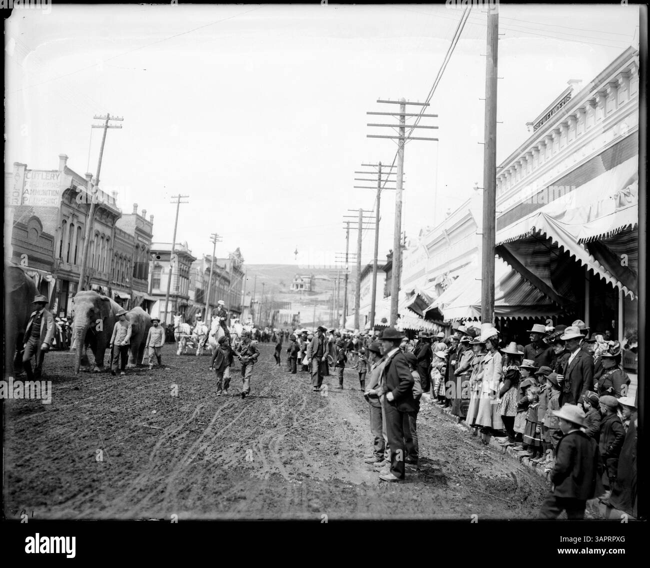 Cette photographie de Lee Moorhouse capture la parade de cirque panaméricaine sur main Street à Pendleton, Oregon. L'image met en valeur l'ambiance festive du défilé et la participation de la communauté à cet événement. Banque D'Images