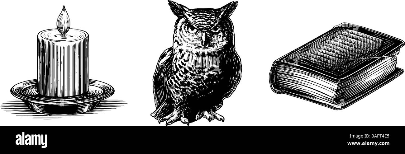 Gravure vintage de hibou et bougie sur livre pour des projets de design et de décoration classiques. Illustration de Vecteur