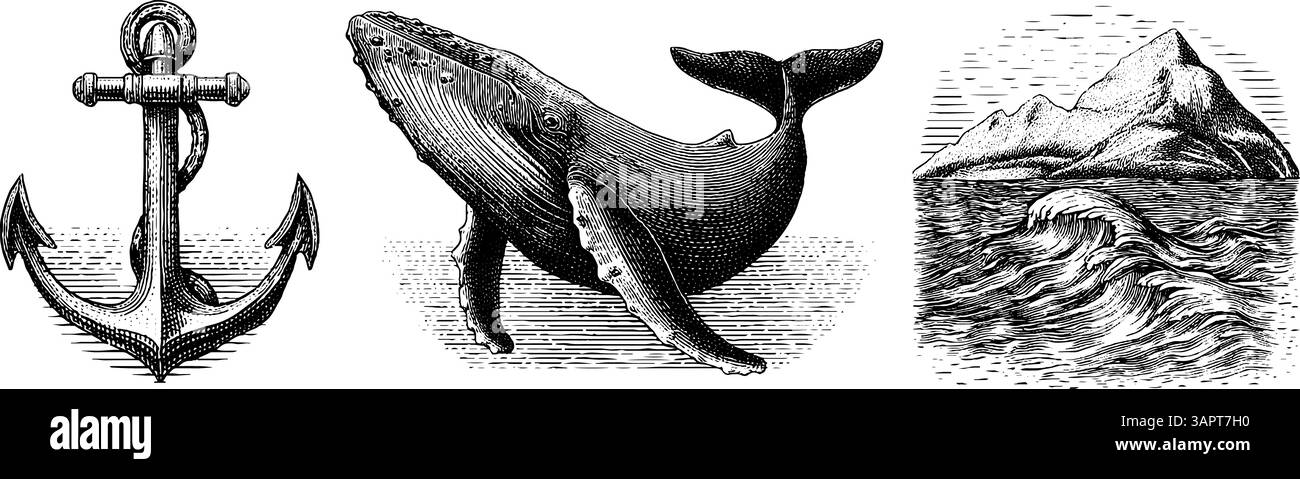 Gravures nautiques vintage de vague de baleine et d'ancre pour la conception maritime. Illustration de Vecteur