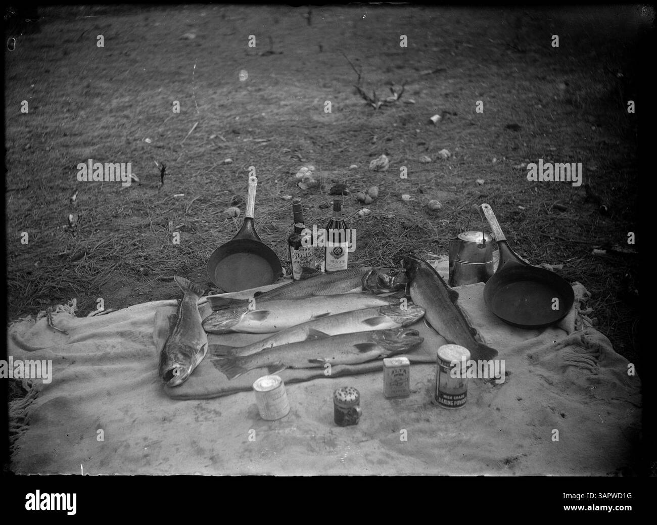 Une nature morte avec six grosses truites, deux poêles, des assaisonnements et des bouteilles de muscat et de whisky, capturant une scène quotidienne de la vie américaine et de la préparation des aliments dans l'Ouest américain. Banque D'Images