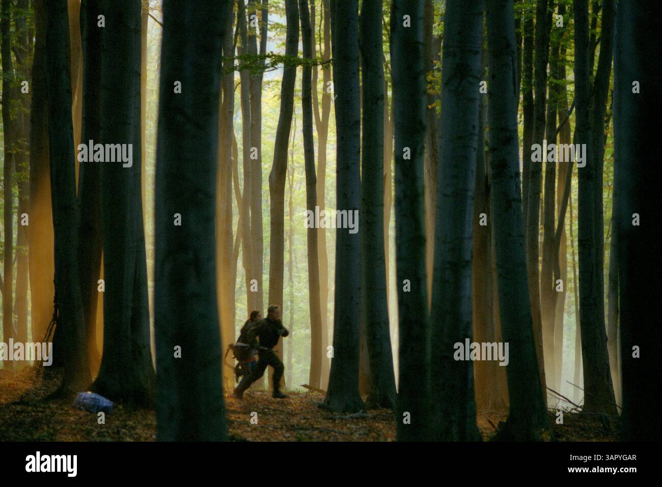 JANVIER 1, 2011 - K23734ES.SCENE DU FILM ''DERRIÈRE LES LIGNES ENNEMIES''. Dans une course contre le temps et un ennemi mortel, Burnett (OWEN. WILSON) et Babic (KAMIL KOLLÃ§RIK) traversent une forêt bosniaque. . FOURNI PAR ES/(image de crédit : © Globe photos/ZUMAPRESS.com) Banque D'Images
