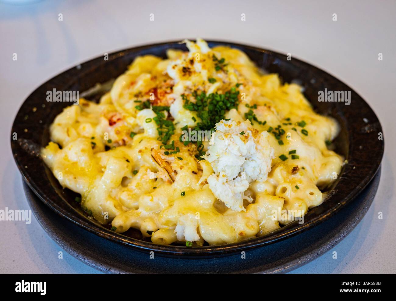 Macarrones avec fromage et homard sur le dessus Banque D'Images