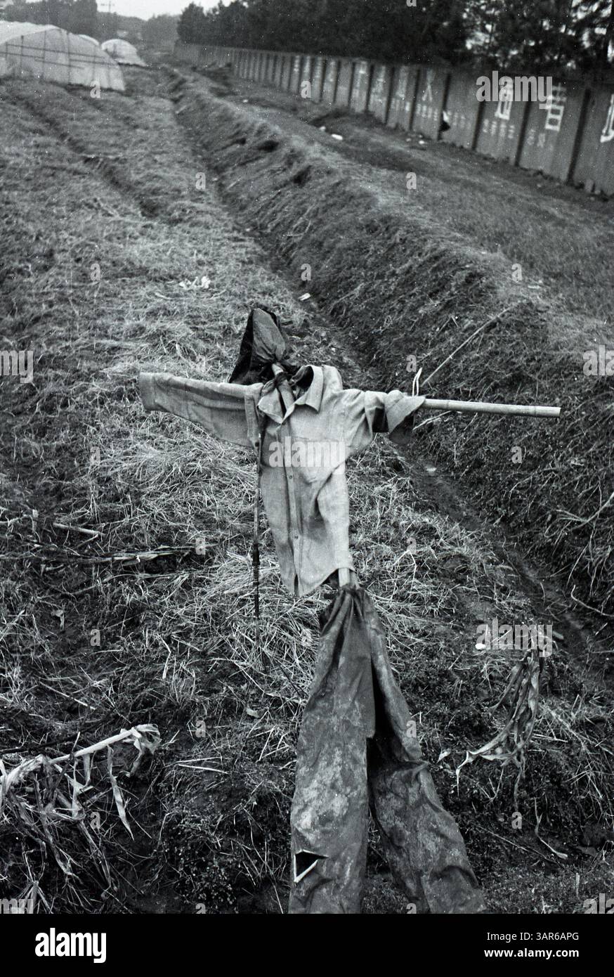 L'épouvantail solitaire monte la garde sur les champs déserts un matin brumeux dans le paysage rural : l'épouvantail de fortune dans les terres agricoles rurales chinoises - la vie agricole au début des années 2000 Banque D'Images