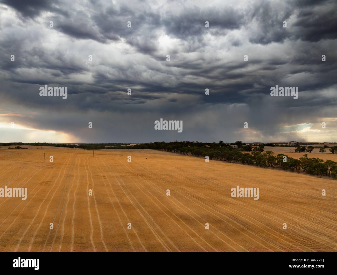 Vue aérienne de la pluie tombant sur des nuages sombres dramatiques au-dessus de terres agricoles sèches à Joyces Creek dans le centre de Victoria, Australie Banque D'Images