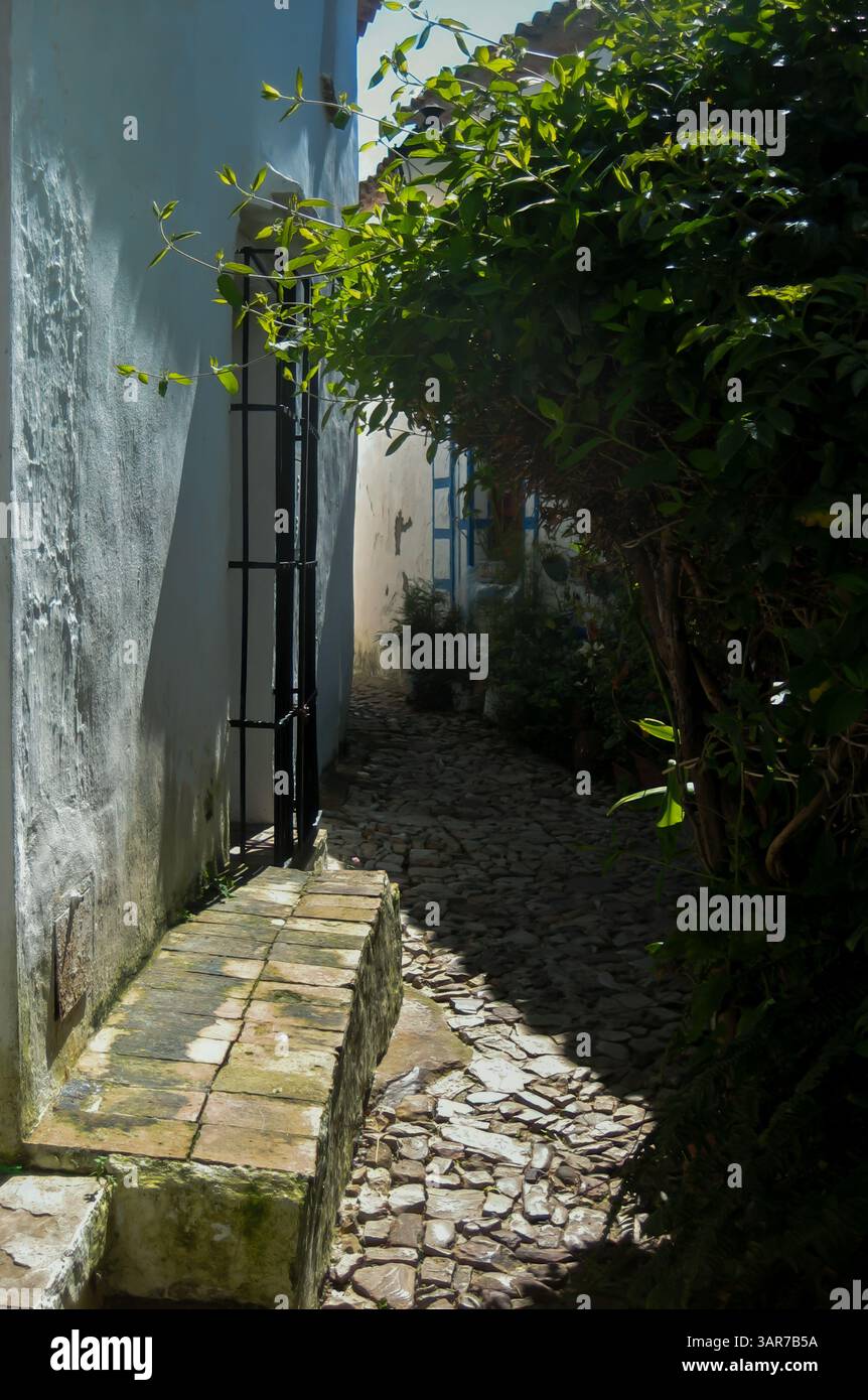 Ruelle pavée baignée de soleil avec une végétation luxuriante et des murs blanchis à la chaux crée une scène charmante dans la ville historique d'obidos, au portugal Banque D'Images