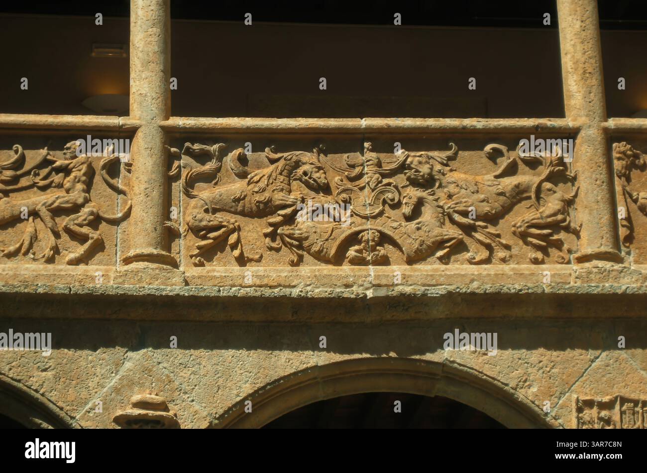 Frise de pierre complexe présentant des griffons et des guerriers luttant, ornant la façade du palais de Djabalquinto, un monument historique à baeza, en espagne Banque D'Images