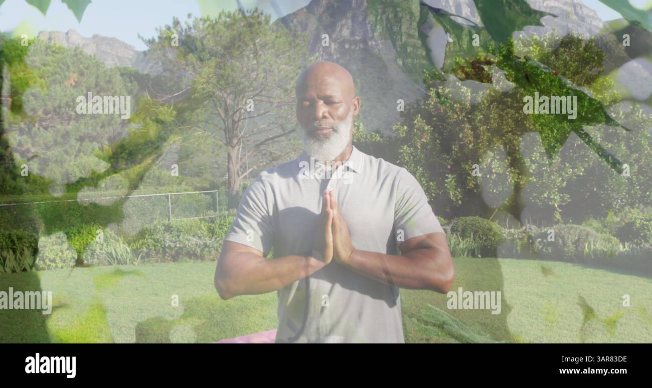 Image de feuilles sur un homme afro-américain senior pratiquant le yoga et la méditation Banque D'Images