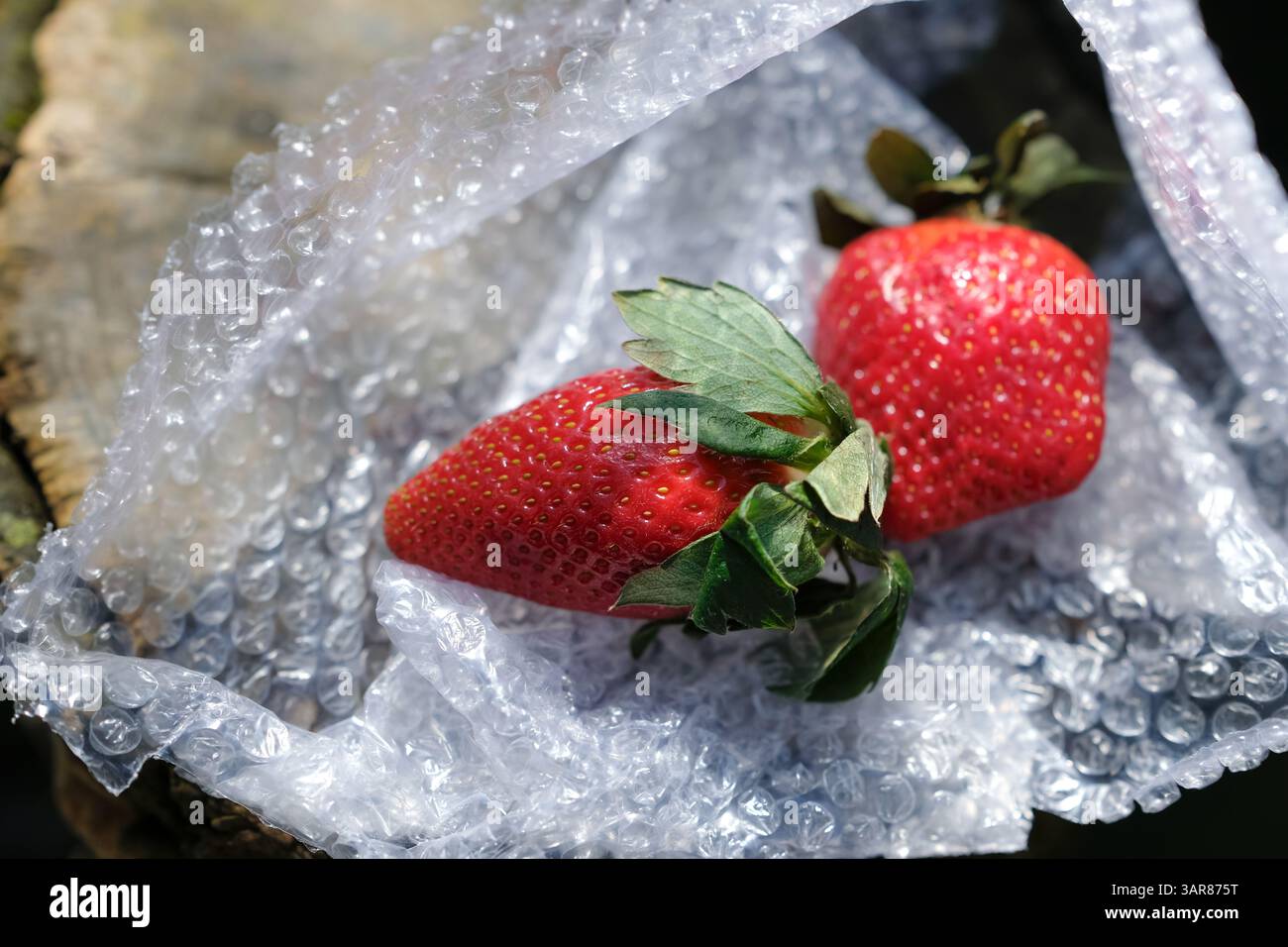 Deux fraises fraîches nichées dans un papier bulle transparent. Conservation des aliments, transport. Pertes de livraison de fruits. Banque D'Images