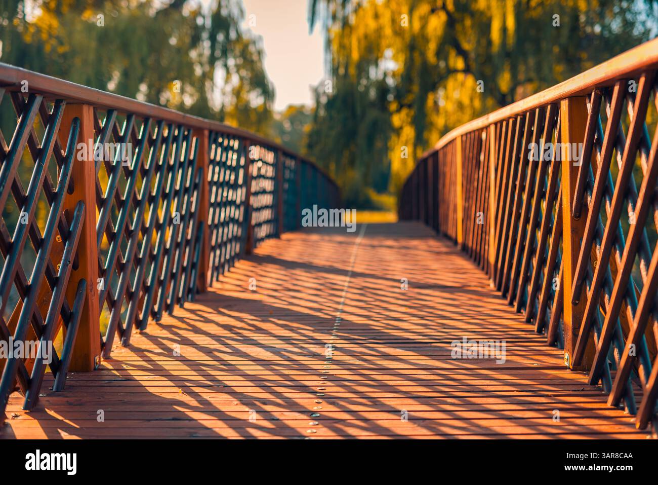 Pont en bois d'automne calme avec arrière-plan de piste floue scène nature saisonnière paisible chemin forestier rustique vue sur le paysage extérieur tranquille. Artistique Banque D'Images
