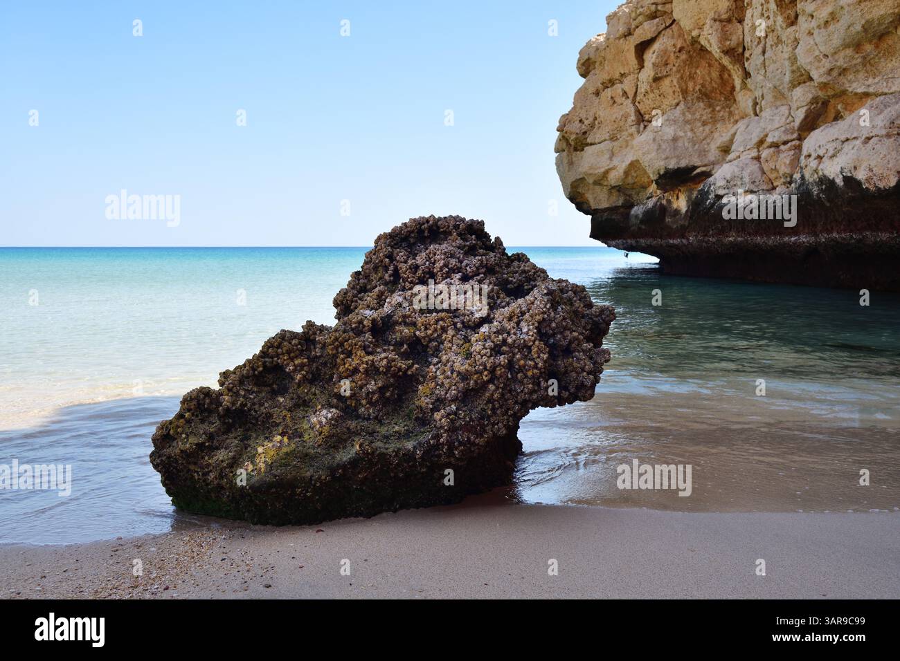 Sultanat d'Oman. Belle plage Al-Khesah - Shiya près de sur Banque D'Images