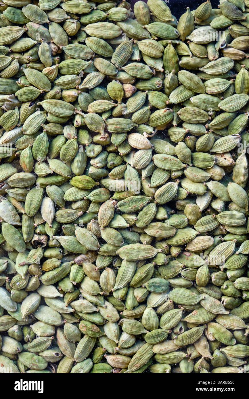 Inde, Karnataka, Sri Krishna Rajendra Market, cardamome Banque D'Images