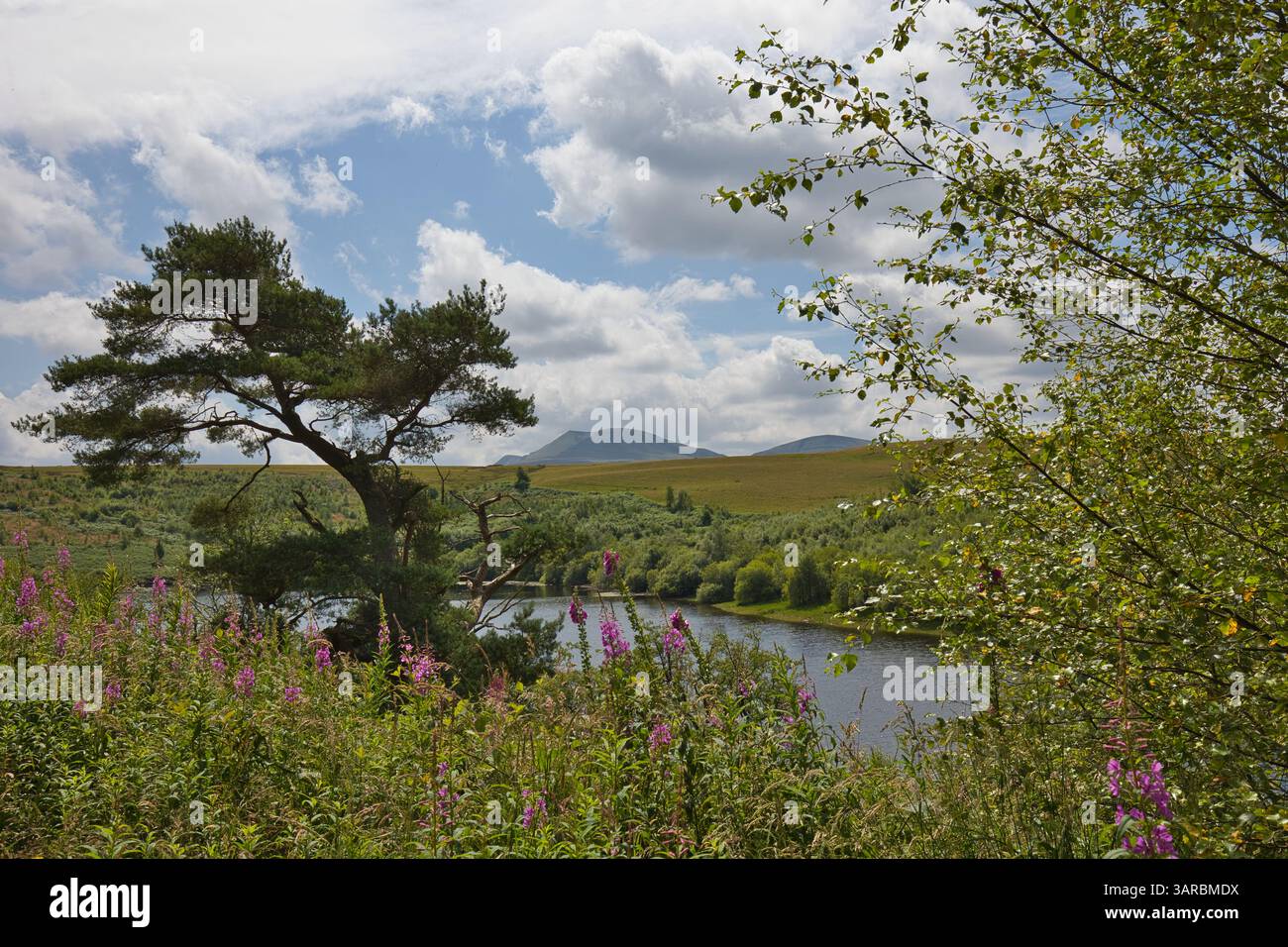 Paysage naturel dans le parc national de Brecon Beacons au pays de Galles. Banque D'Images