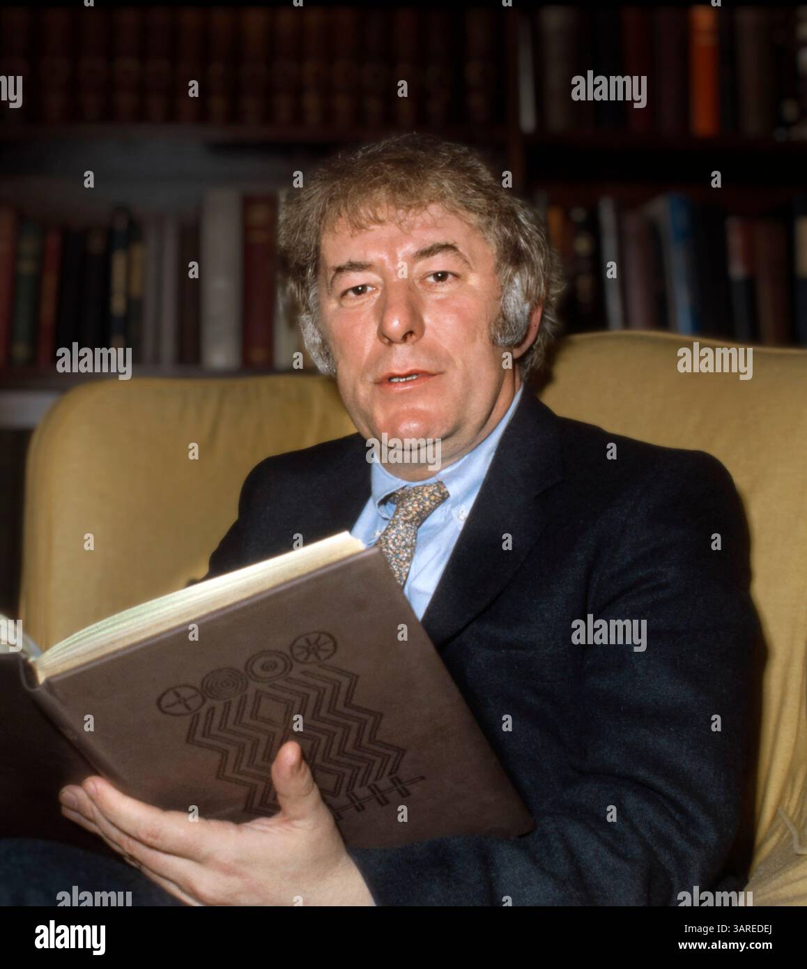 Seamus Heaney. Portrait du poète et dramaturge irlandais Seamus Justin Heaney (1939-2013) par Bernard Gotfryd, 1982 Banque D'Images